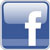 Facebook Profile and Page of Delizard Web Design, Web Development and SEO | Rosignano Solvay, Livorno - Toscana